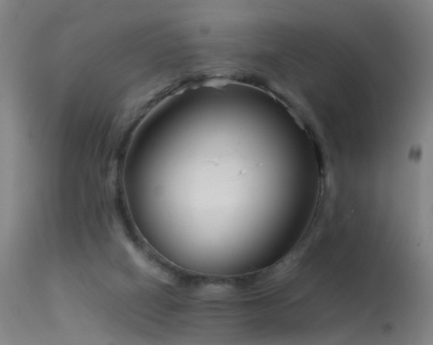 X0000114140066200910151619