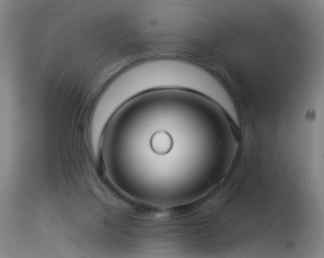 X0000114140068200910151619