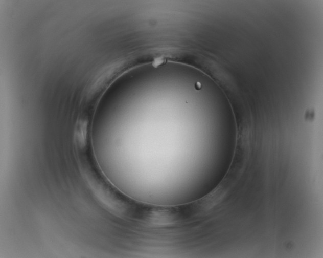 X0000114140070200910151619