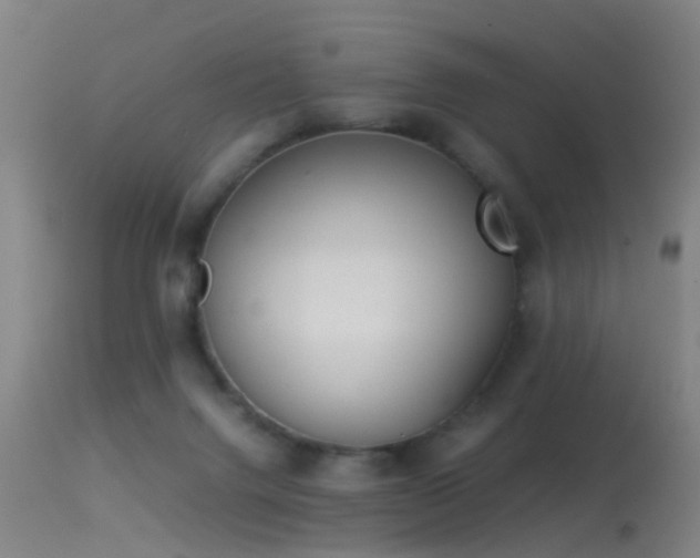 X0000114140072200910151619