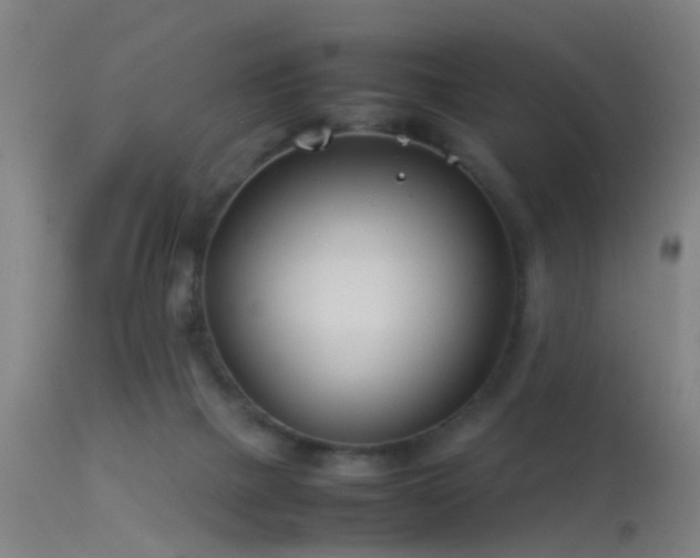 X0000114140073200910151619