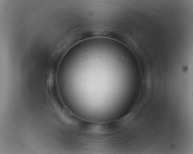 X0000114140074200910151619