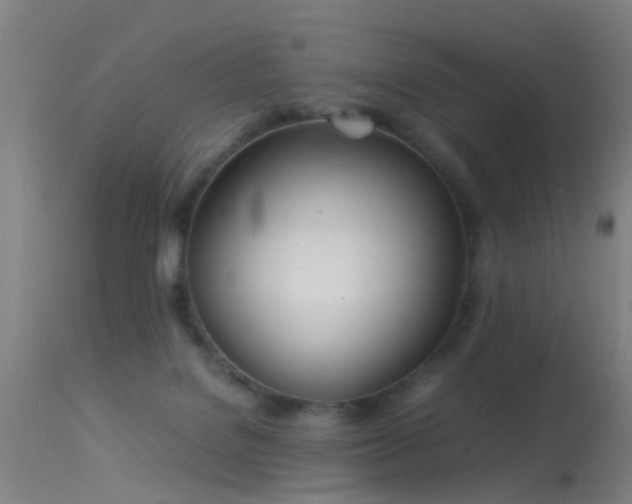 X0000114140076200910151620