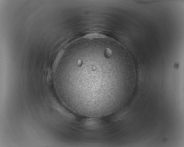 X0000114140077200910151620