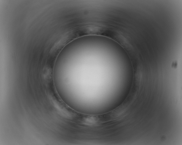 X0000114140079200910151620