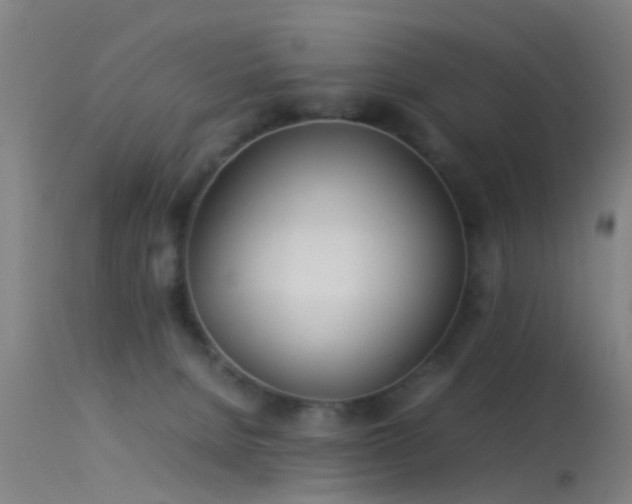 X0000114140080200910151620