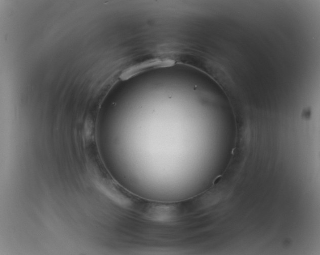 X0000114140081200910151620