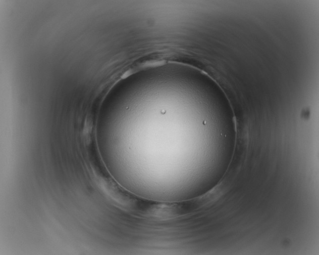 X0000114140082200910151620