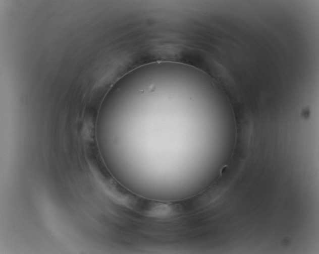 X0000114140083200910151620