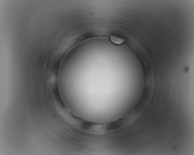 X0000114140084200910151620