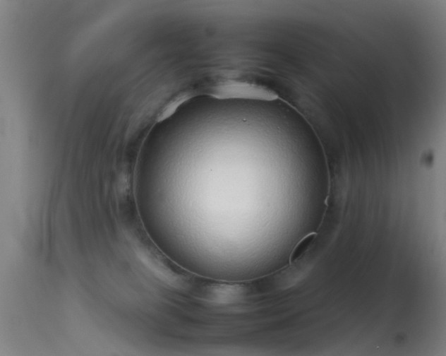 X0000114140085200910151620