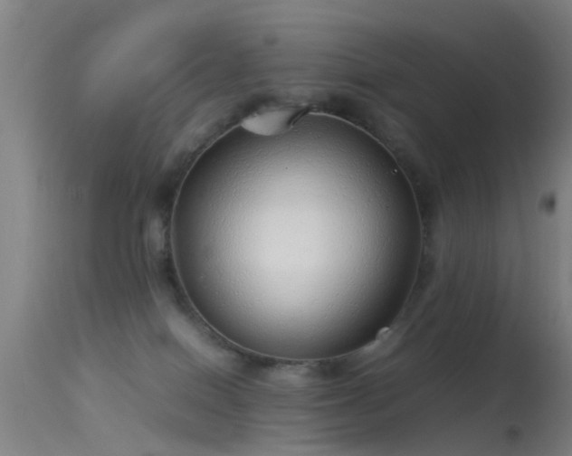 X0000114140086200910151620