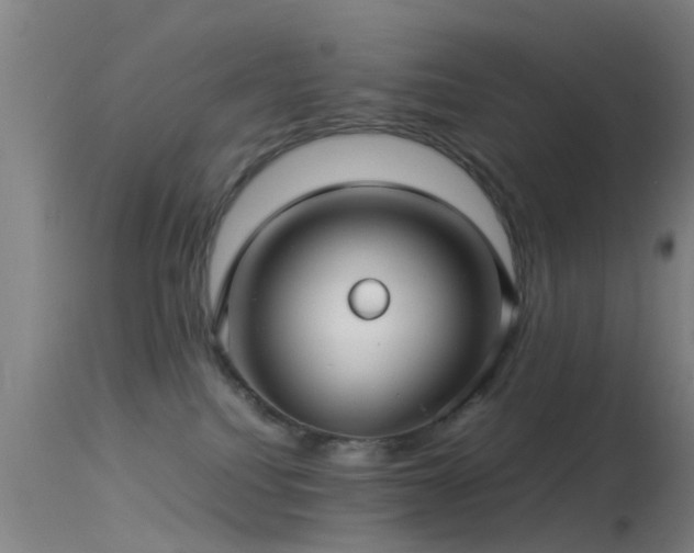 X0000114140088200910151620