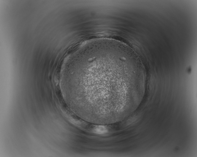 X0000114140091200910151620