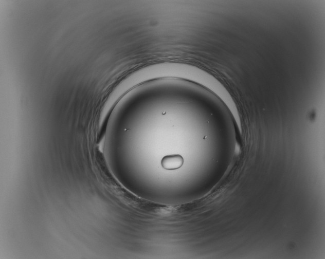 X0000114140092200910151620