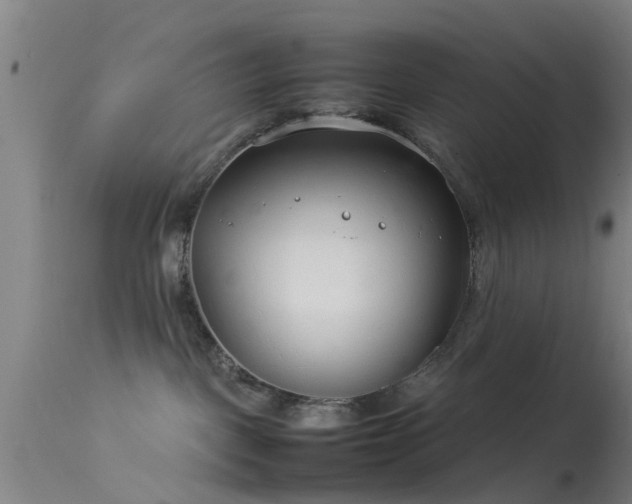 X0000114140093200910151620