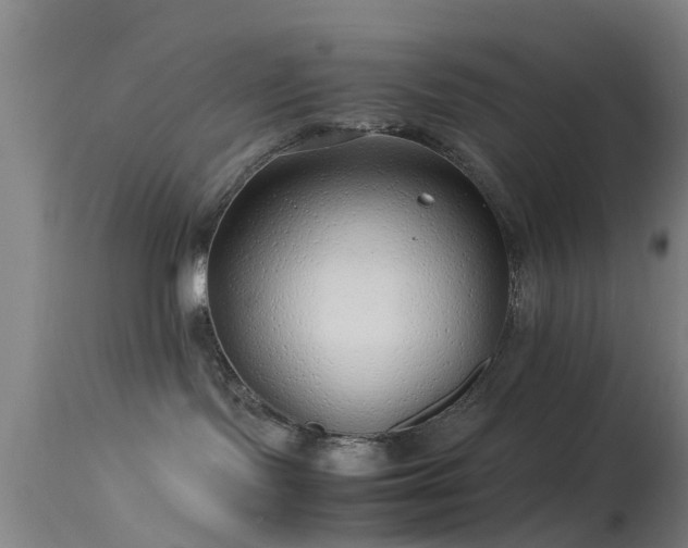 X0000114140095200910151620