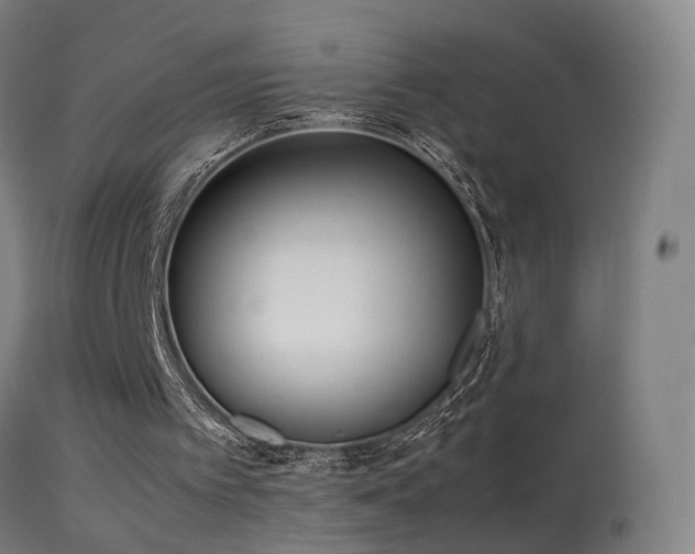 X0000114140097200910151619