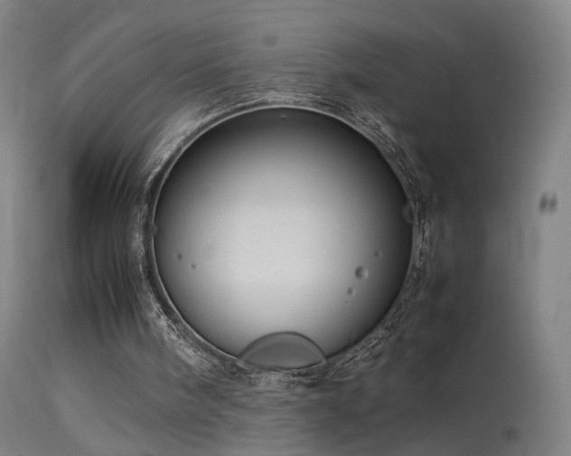 X0000114140098200910151619