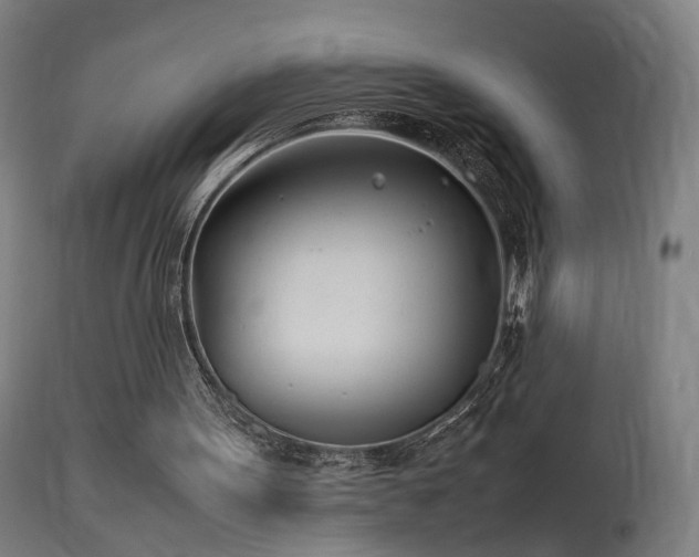 X0000114140099200910151619