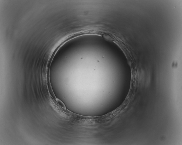 X0000114140100200910151619