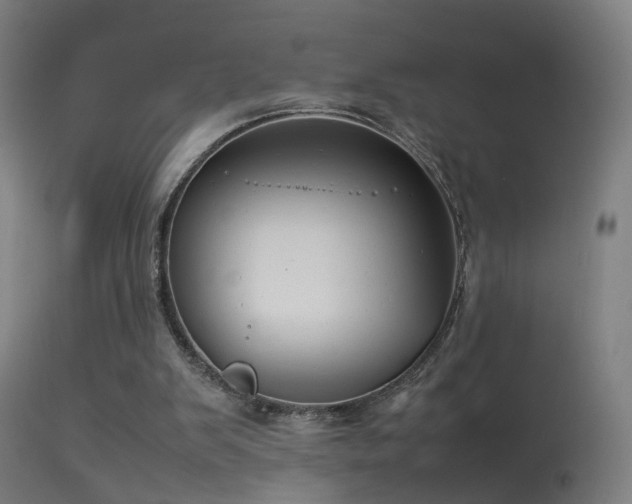 X0000114140103200910151619