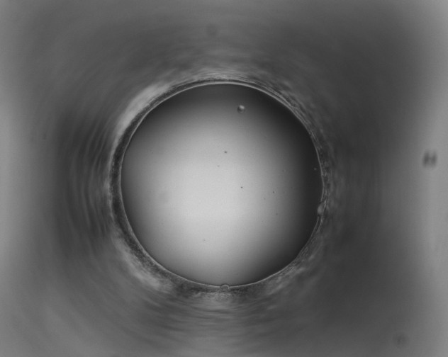 X0000114140104200910151619