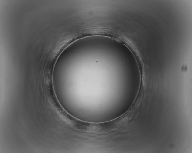 X0000114140105200910151619