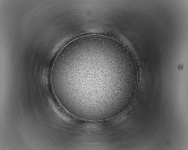 X0000114140106200910151619