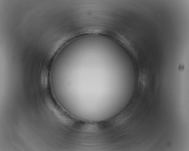 X0000114140110200910151619