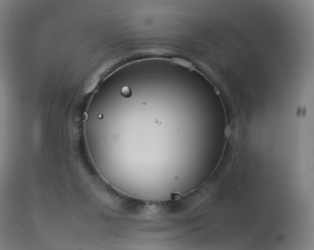 X0000114140111200910151619