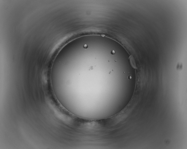 X0000114140112200910151619