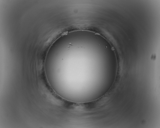 X0000114140113200910151619