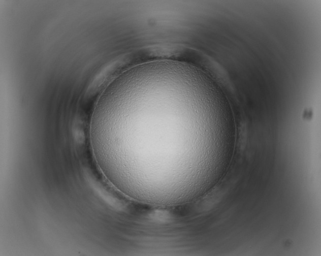 X0000114140114200910151619