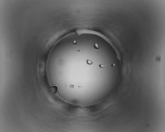 X0000114140115200910151619