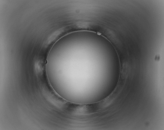 X0000114140116200910151619