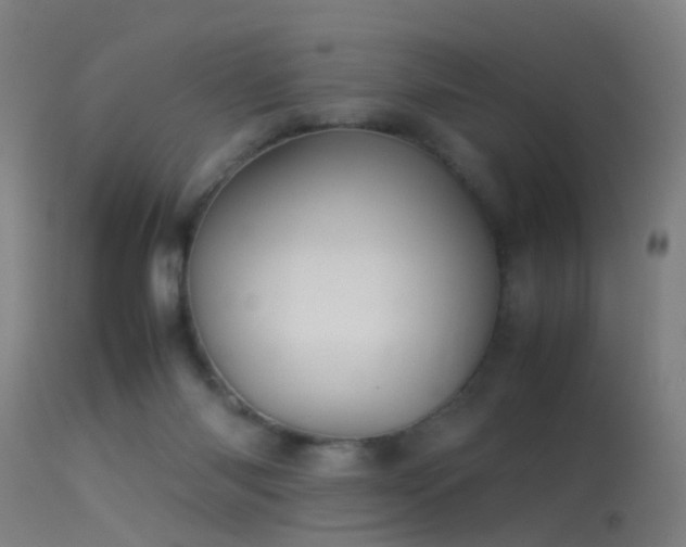 X0000114140118200910151619