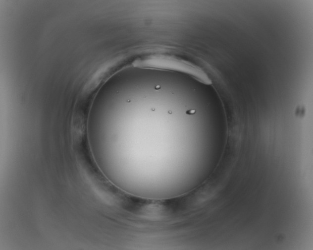 X0000114140119200910151619