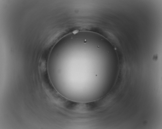 X0000114140123200910151619