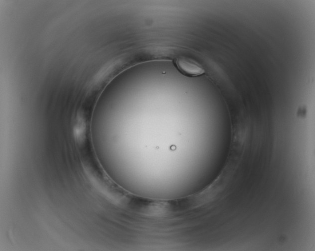 X0000114140124200910151619