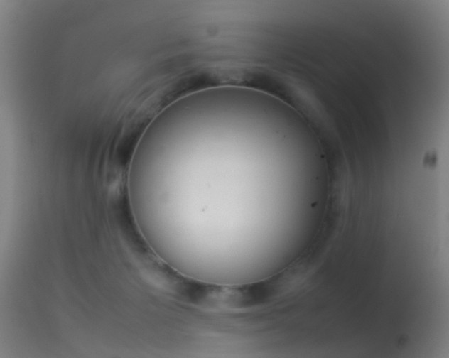 X0000114140125200910151619