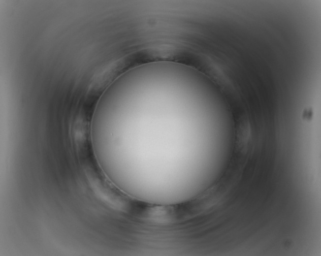 X0000114140126200910151619