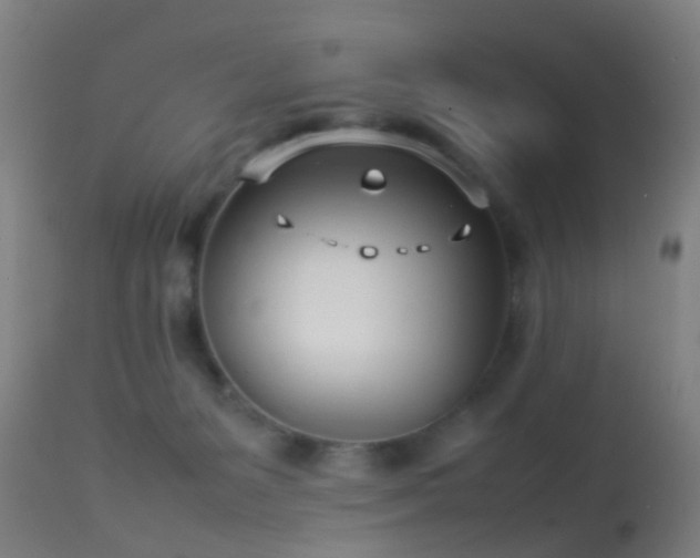 X0000114140127200910151619