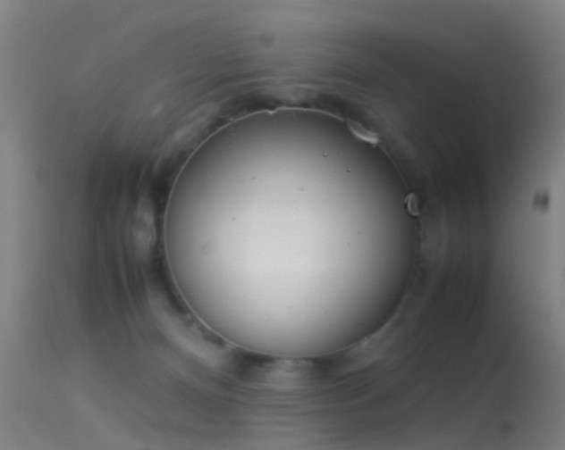 X0000114140128200910151619