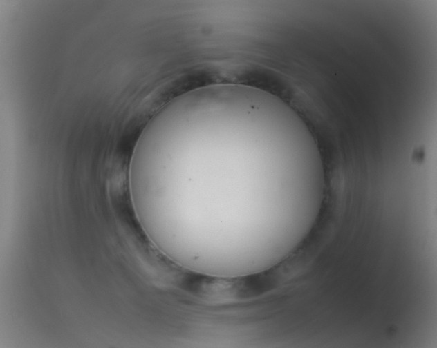 X0000114140129200910151619