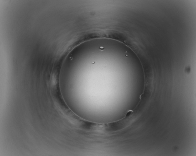 X0000114140131200910151619