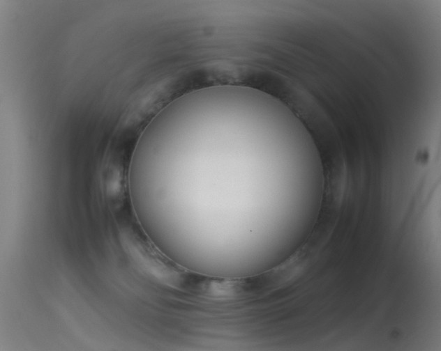 X0000114140134200910151619