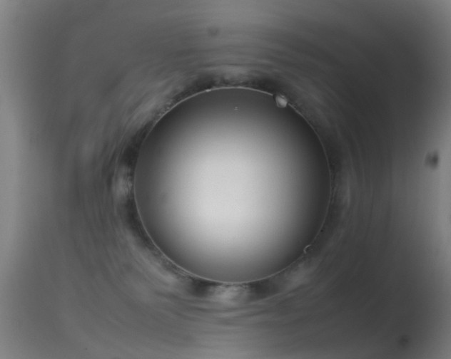 X0000114140135200910151619