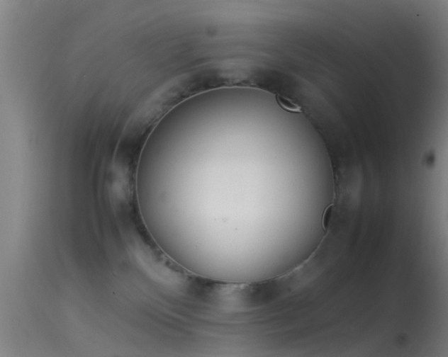 X0000114140136200910151619