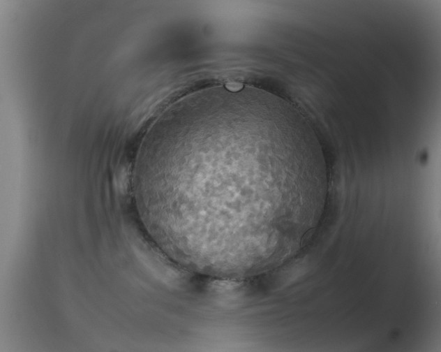 X0000114140139200910151618